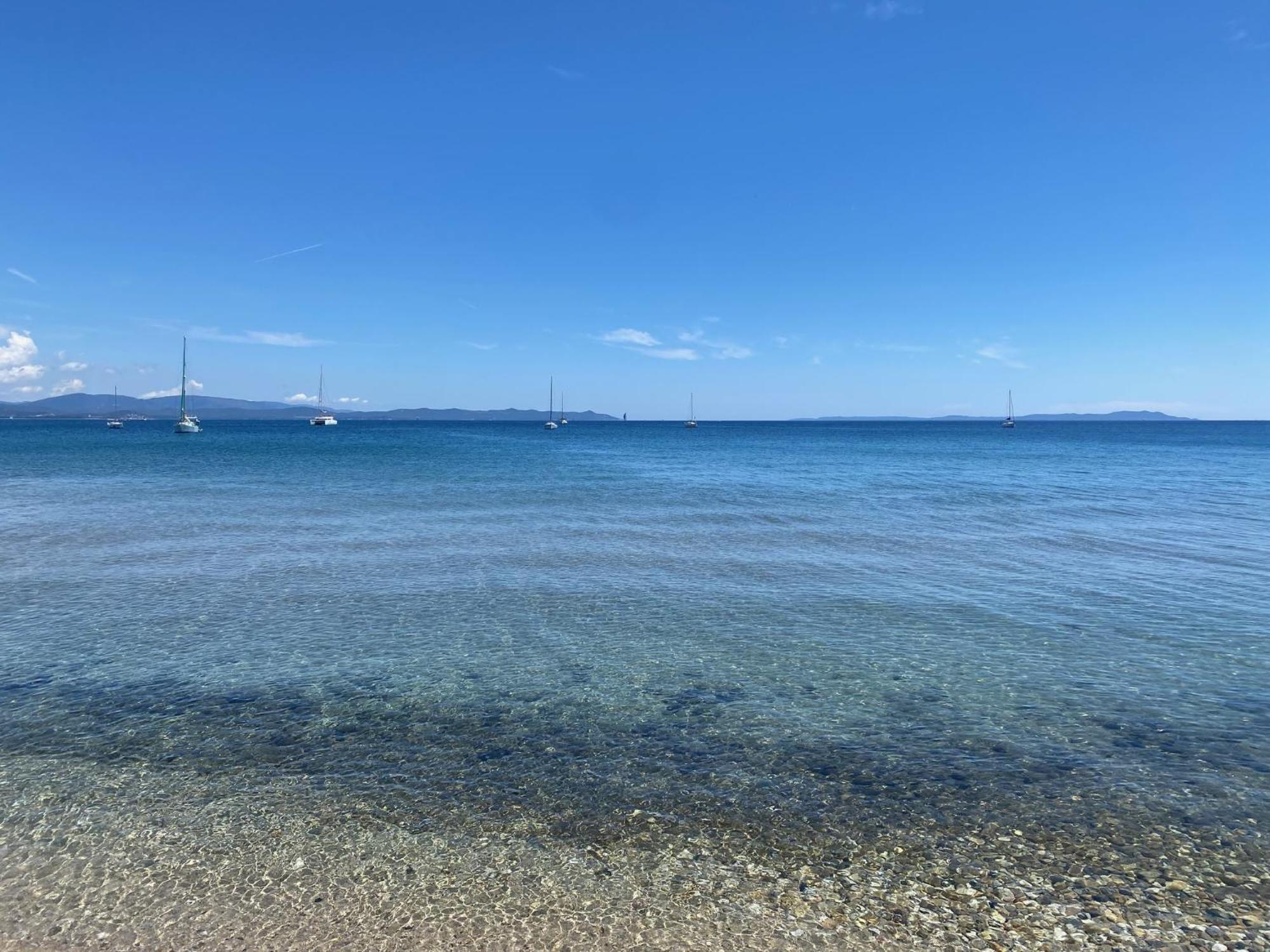 Appartement Les Cigales Rez De Jardin A 10Mn Des Plus Belles Plages Hyères المظهر الخارجي الصورة